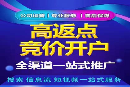 揭秘百度包年竞价优势：成功案例深度解析